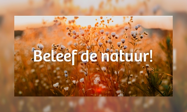 #2uurnatuur challenge 2020