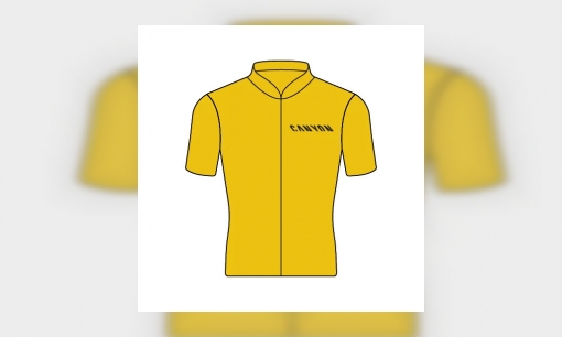 Plaatje Tour de France-truien en de betekenis ervan
