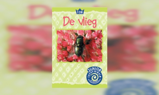 De vlieg