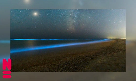 Lichtgevende golven door zeevonk