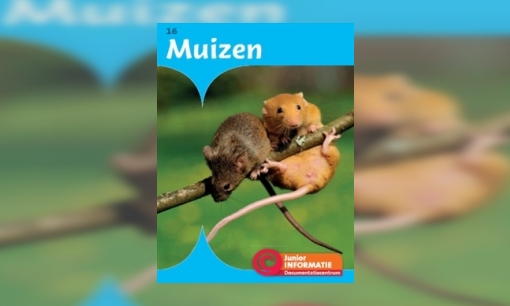 Plaatje Muizen