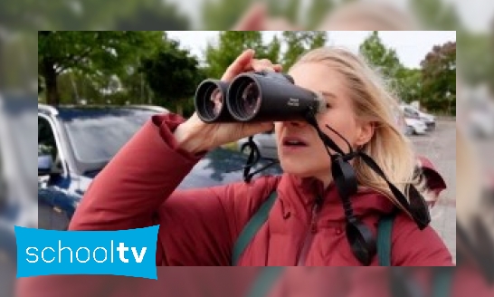 Plaatje Klokhuis SoortSafari - Op zoek naar de kraai, kauw en roek