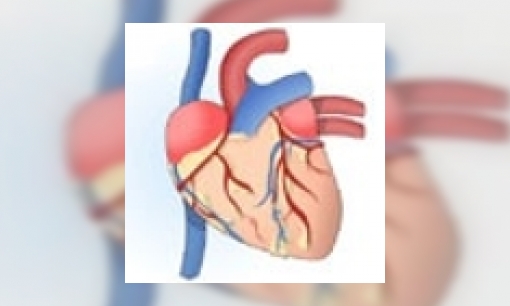 Plaatje Anatomie van het hart