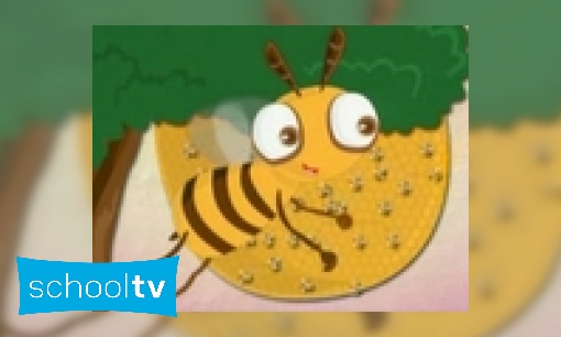 Plaatje Hoe maken bijen honing?