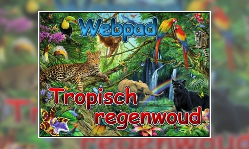 Plaatje Webpad tropisch regenwoud