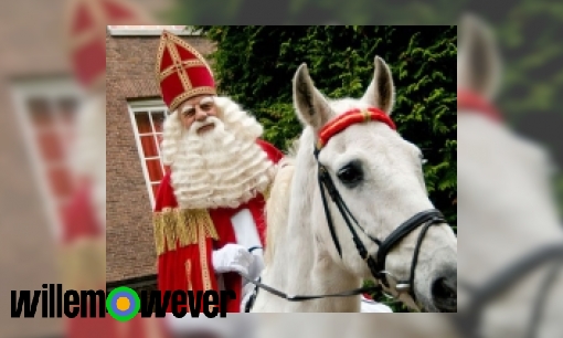 Waarom is het paard van Sinterklaas wit?