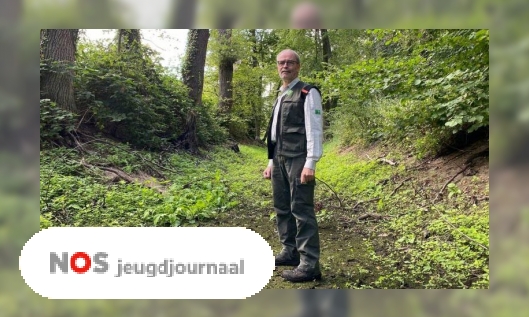 Droogte heeft grote gevolgen voor de natuur