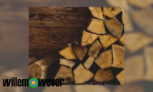 Plaatje Hoe wordt hout gemaakt?