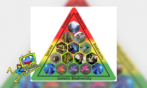 Plaatje Biodiversiteit (WikiKids)