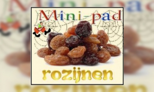 Mini-pad rozijnen