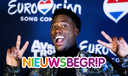 Plaatje Eurovisie Songfestival 2025