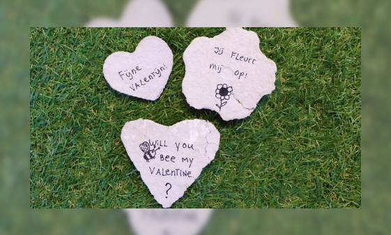 Plaatje Valentijntip: zaaipapier maken
