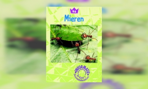 Mieren