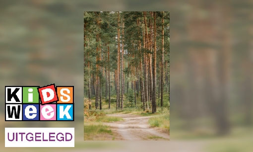 Plaatje Uitdrukking uitgelegd: 