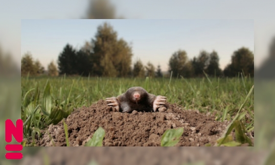 Plaatje De weg vinden onder de grond