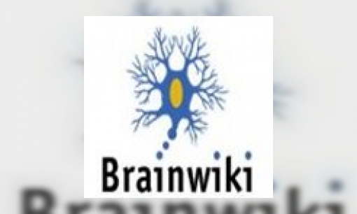 Plaatje Brainwiki