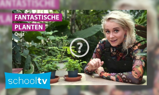 Plaatje Quiz: Fantastische planten