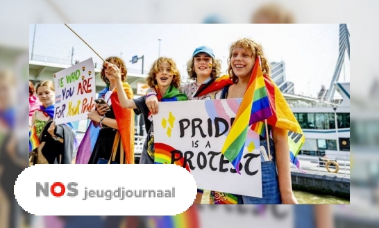 Hoe is de Pride Month ontstaan?