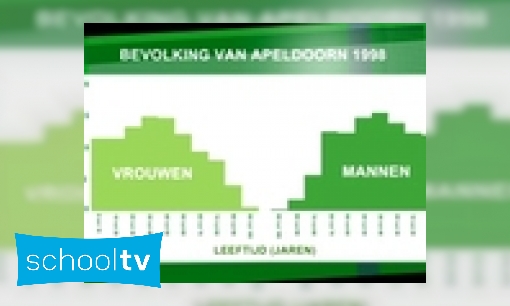 Plaatje Bevolkingspiramide