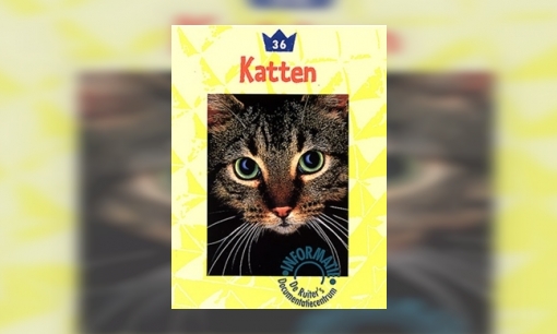 Plaatje Katten