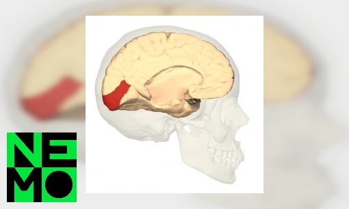 Plaatje Hoe dromen blinde mensen?
