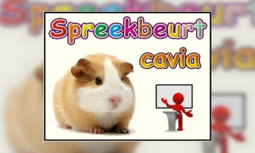 Plaatje Spreekbeurt Cavia