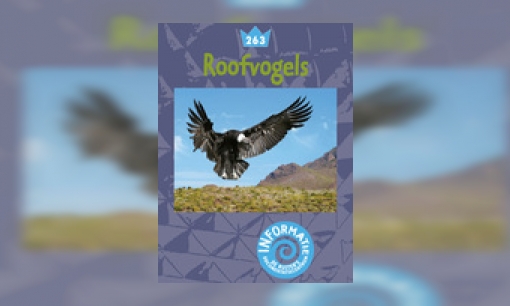 Roofvogels