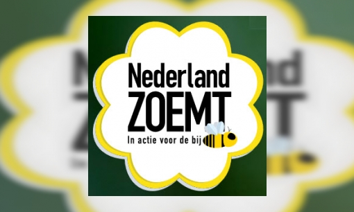 Plaatje Nederland zoemt: in actie voor de bij