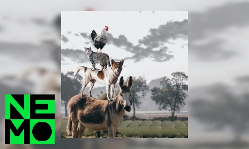 Plaatje Hoeveel dieren leven er op aarde?