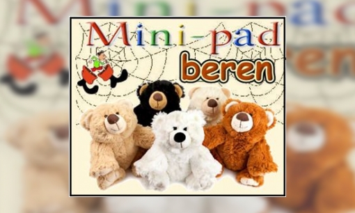 Mini-pad beren