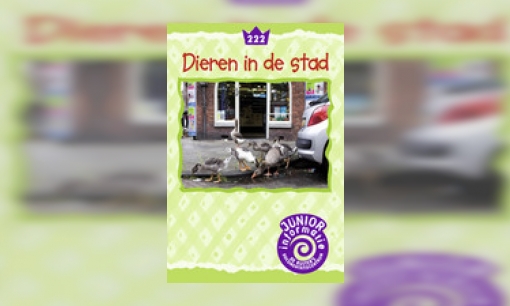 Plaatje Dieren in de stad