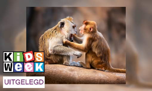 Plaatje Gedragsbioloog Liesbeth Sterck over 