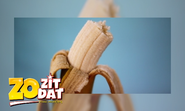 Plaatje Groeit een banaan naar het licht?