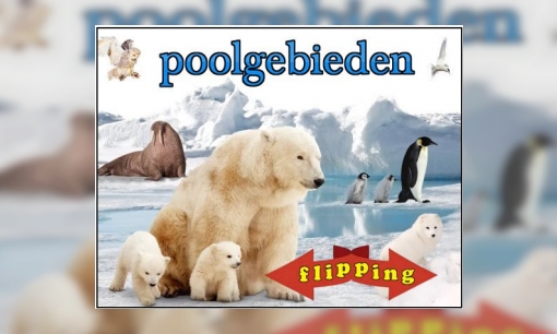 Flipping - Poolgebieden