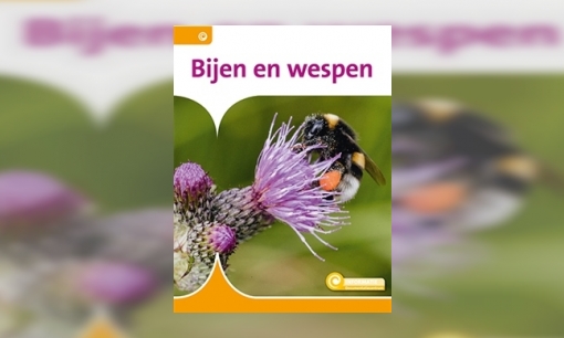 Bijen en wespen