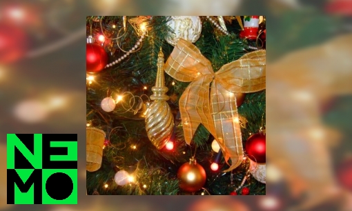 Plaatje Waarom hebben we  tijdens kerst een boom in de kamer?