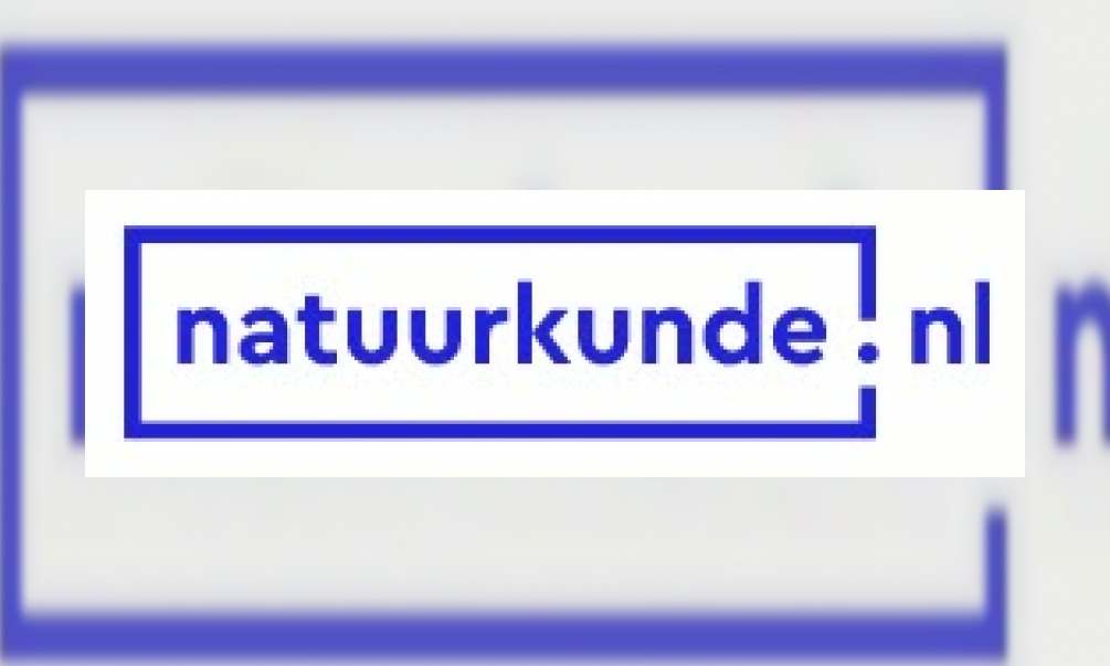 Plaatje Natuurkunde.nl