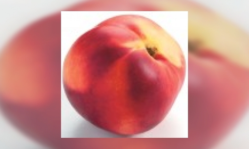 Plaatje Nectarine