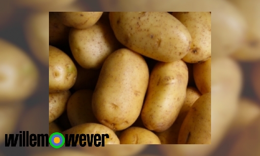 Waarom zijn wij Nederlanders zo dol op aardappelen?