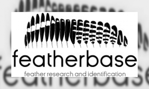 Featherbase