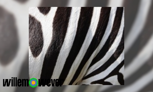 Plaatje Is zwart een kleur?