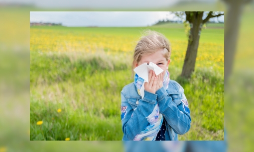 Plaatje Spreekbeurt over allergie