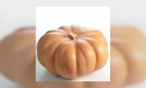 Plaatje Pompoen