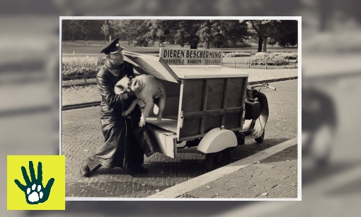 Plaatje Spreekbeurt over de geschiedenis van de Dierenbescherming