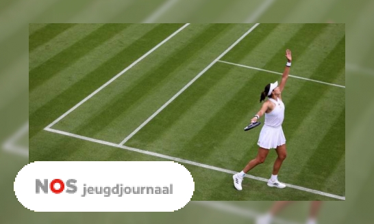 Drie vragen over tennistoernooi Wimbledon