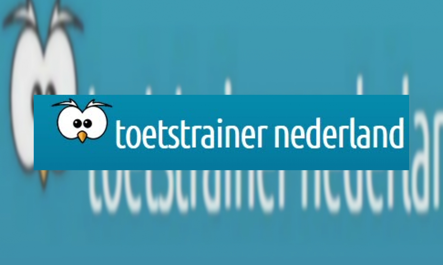Plaatje Toetstrainer