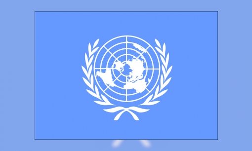 Wat iedereen moet weten over de Verenigde Naties