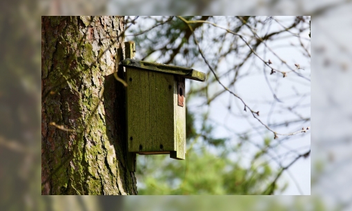 Plaatje Nestkasten en nestelplaatsen