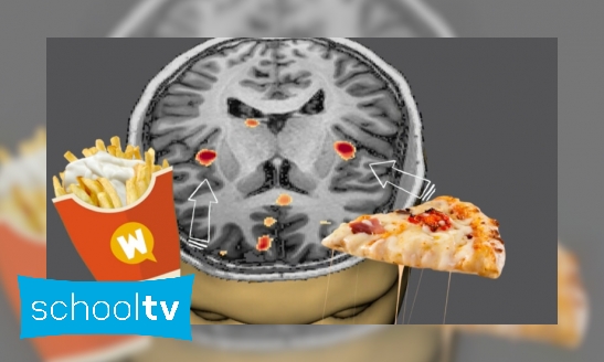 Plaatje Waarom vinden we patat, pannenkoeken en pizza zo lekker?