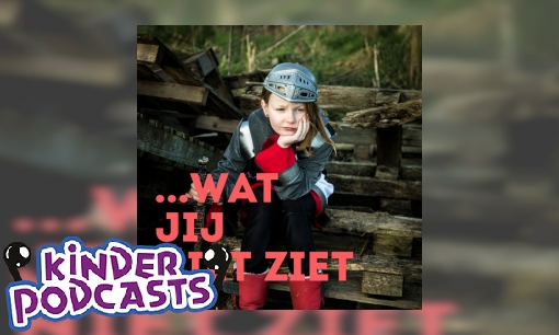 Wat jij niet ziet